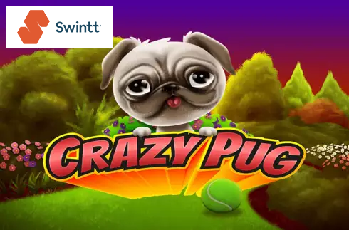 Crazy Pug